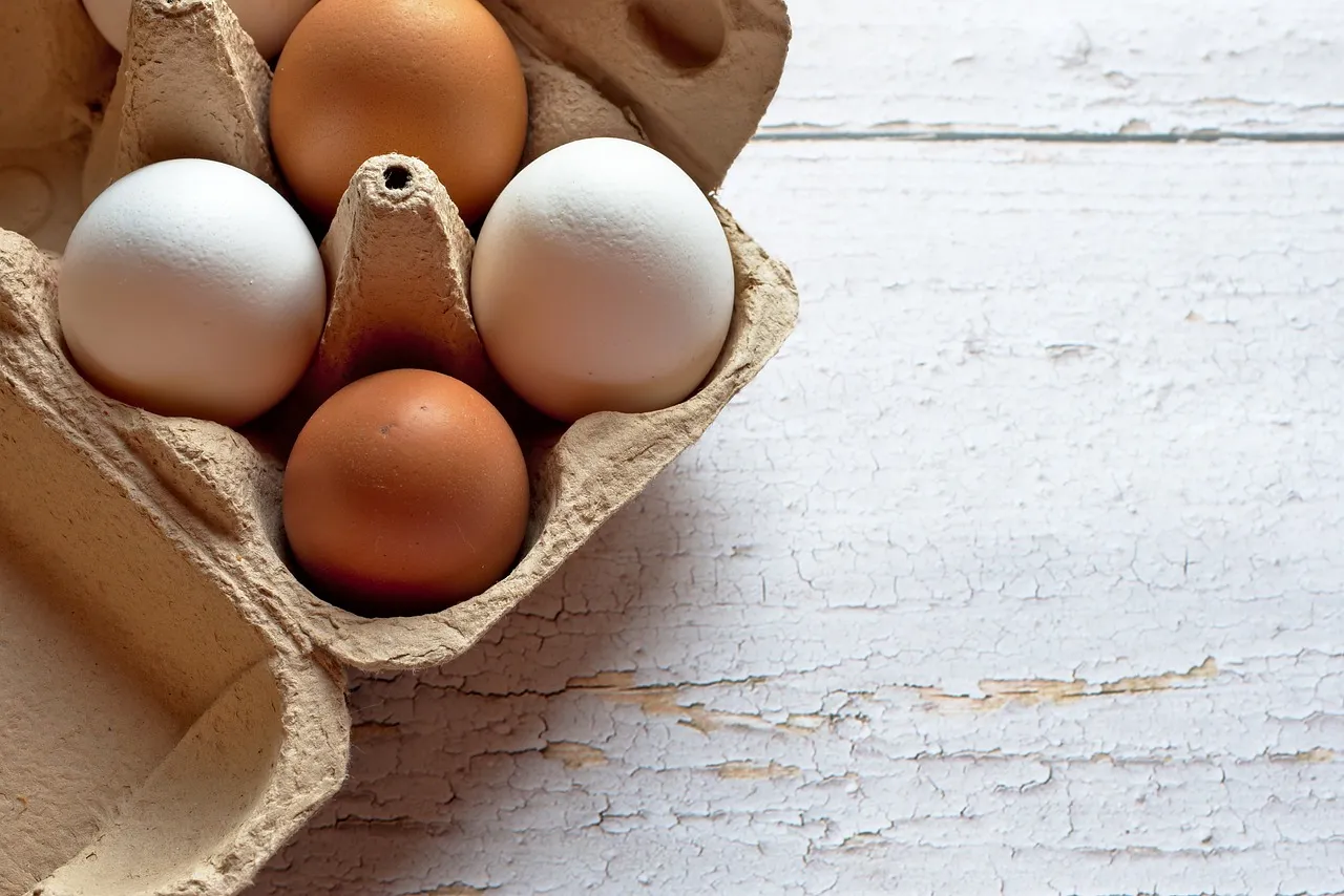 Are white eggs better